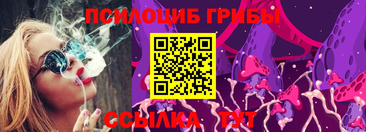 Псилоцибиновые грибы MAGIC MUSHROOMS Белебей